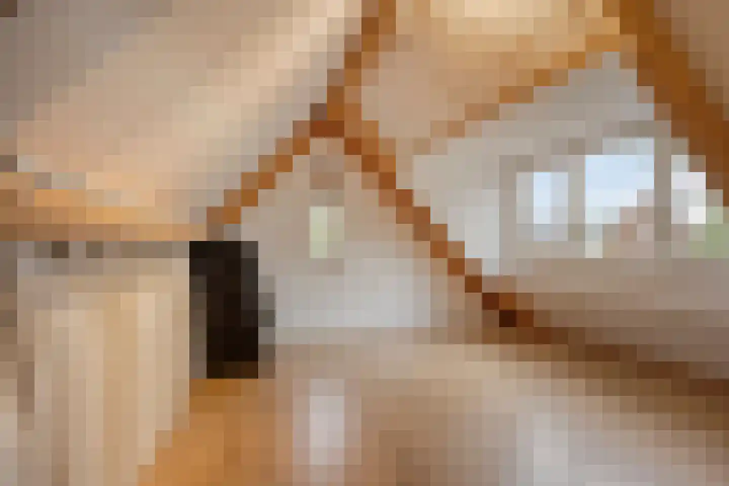 Beekveld 61 Gemert thumbnail 30