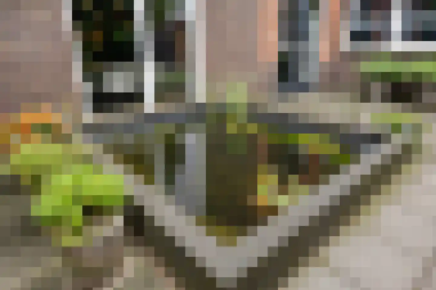 Beekveld 61 Gemert thumbnail 34