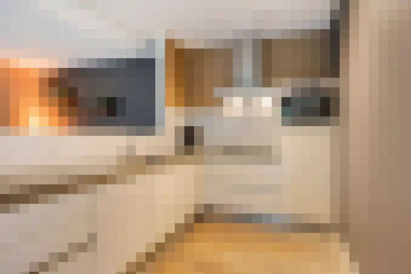Beekveld 61 Gemert thumbnail 4