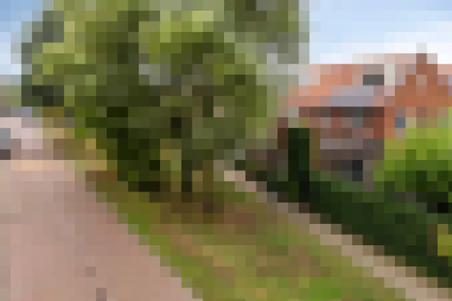 Beekveld 61 Gemert thumbnail 40