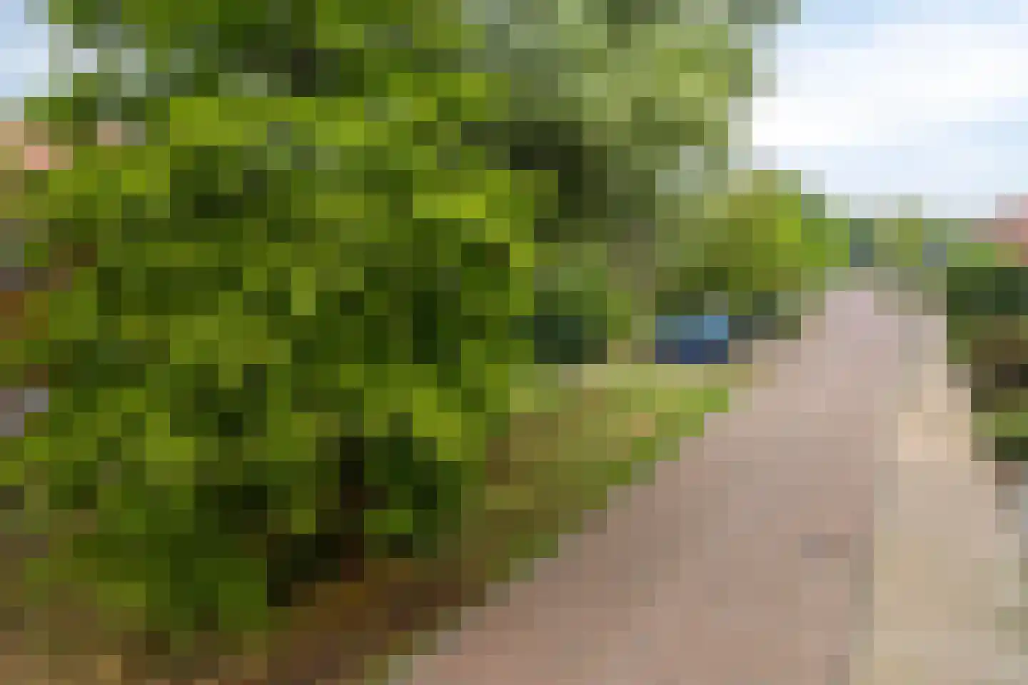 Beekveld 61 Gemert thumbnail 41