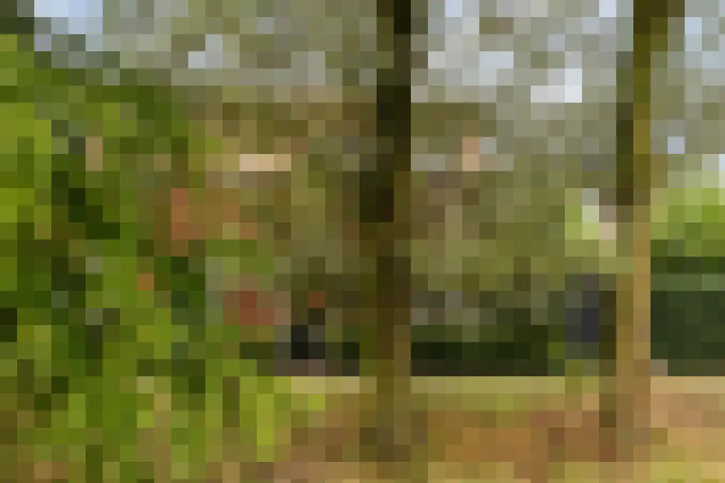 Beekveld 61 Gemert thumbnail 44