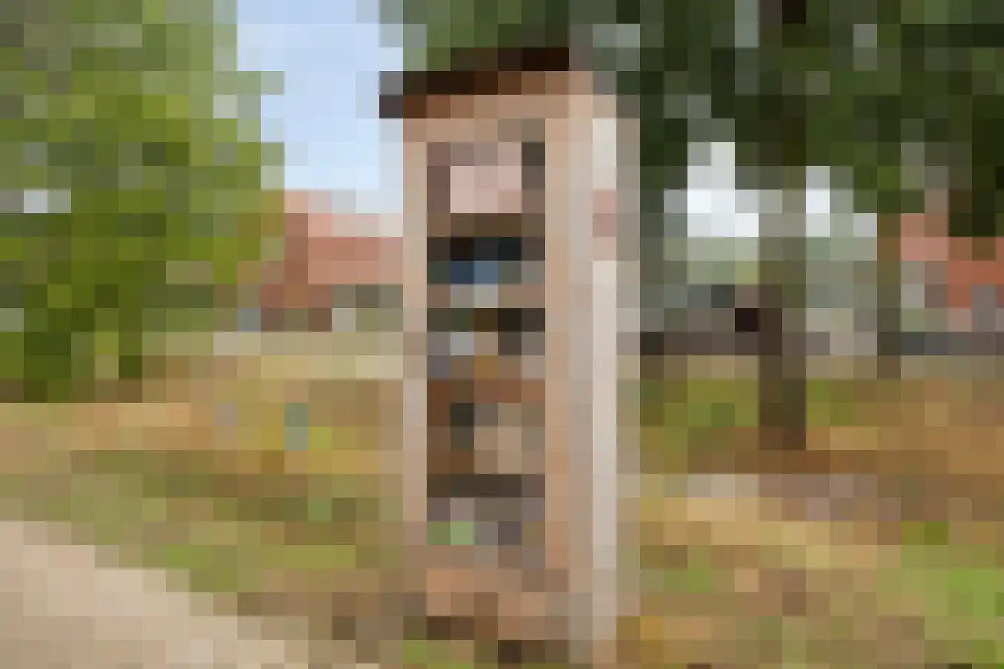 Beekveld 61 Gemert thumbnail 46