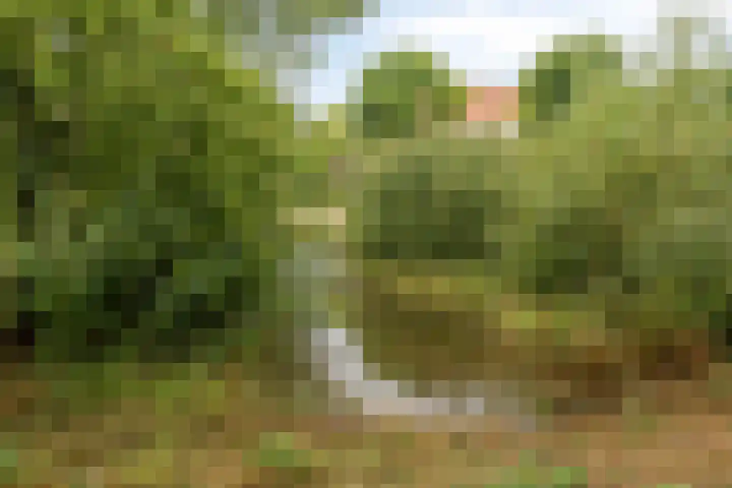 Beekveld 61 Gemert thumbnail 47