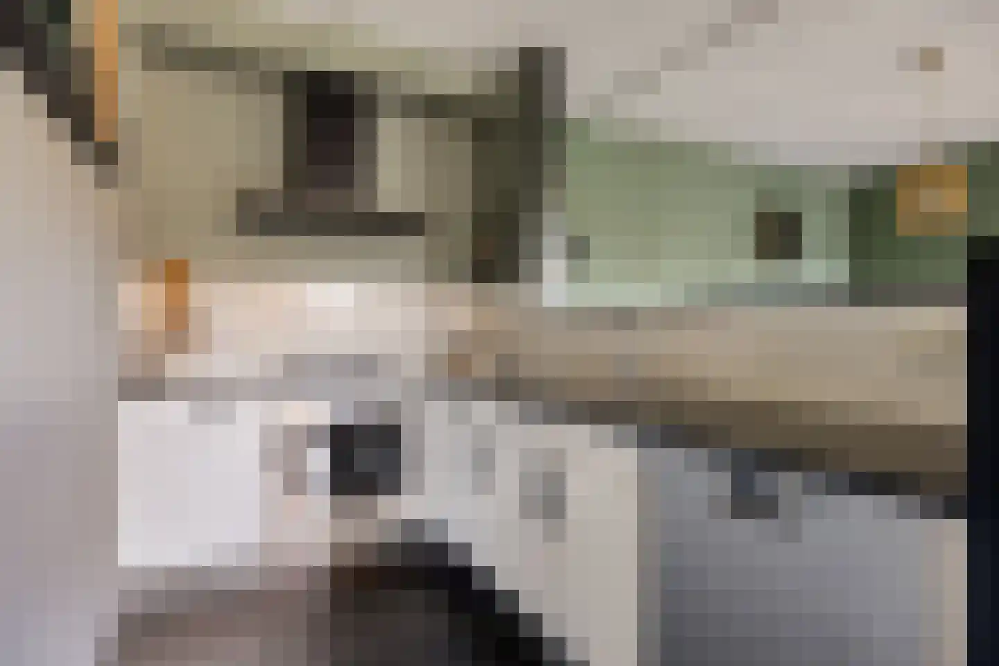 Beekveld 63 Gemert thumbnail 19