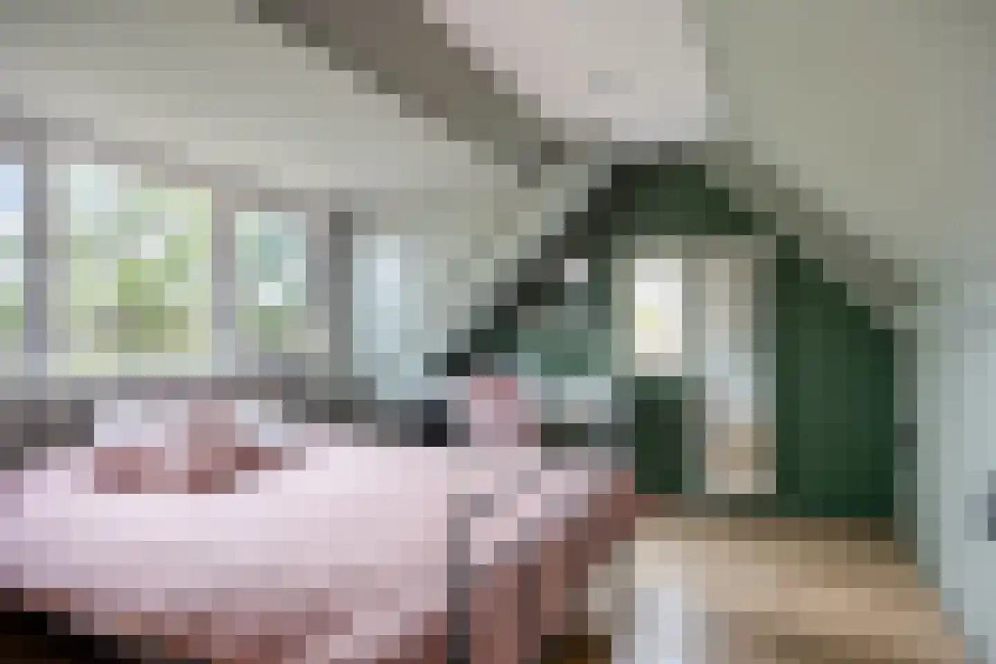 Beekveld 63 Gemert thumbnail 39