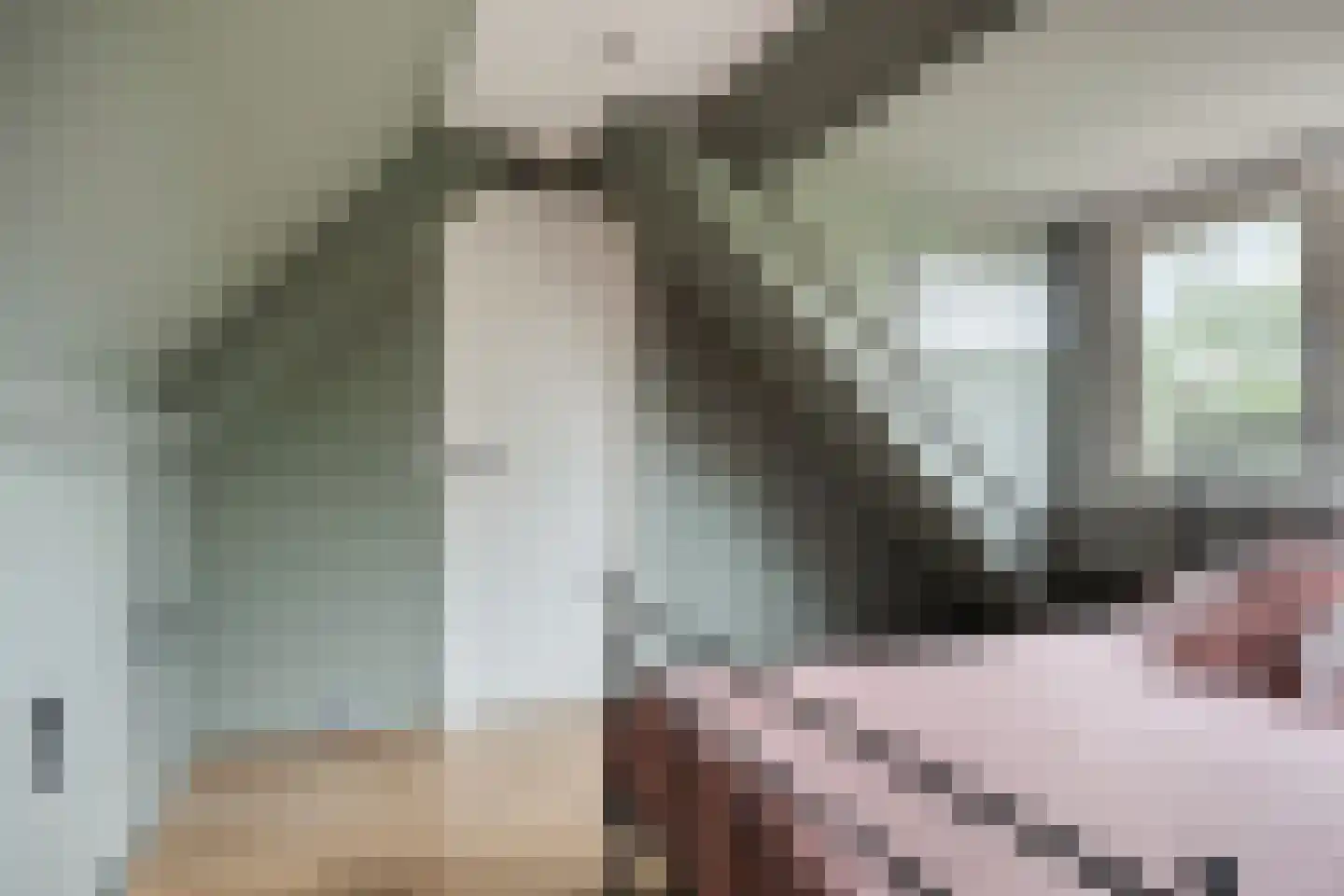 Beekveld 63 Gemert thumbnail 41