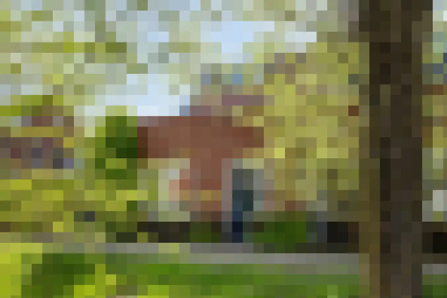 Beekveld 63 Gemert thumbnail 9