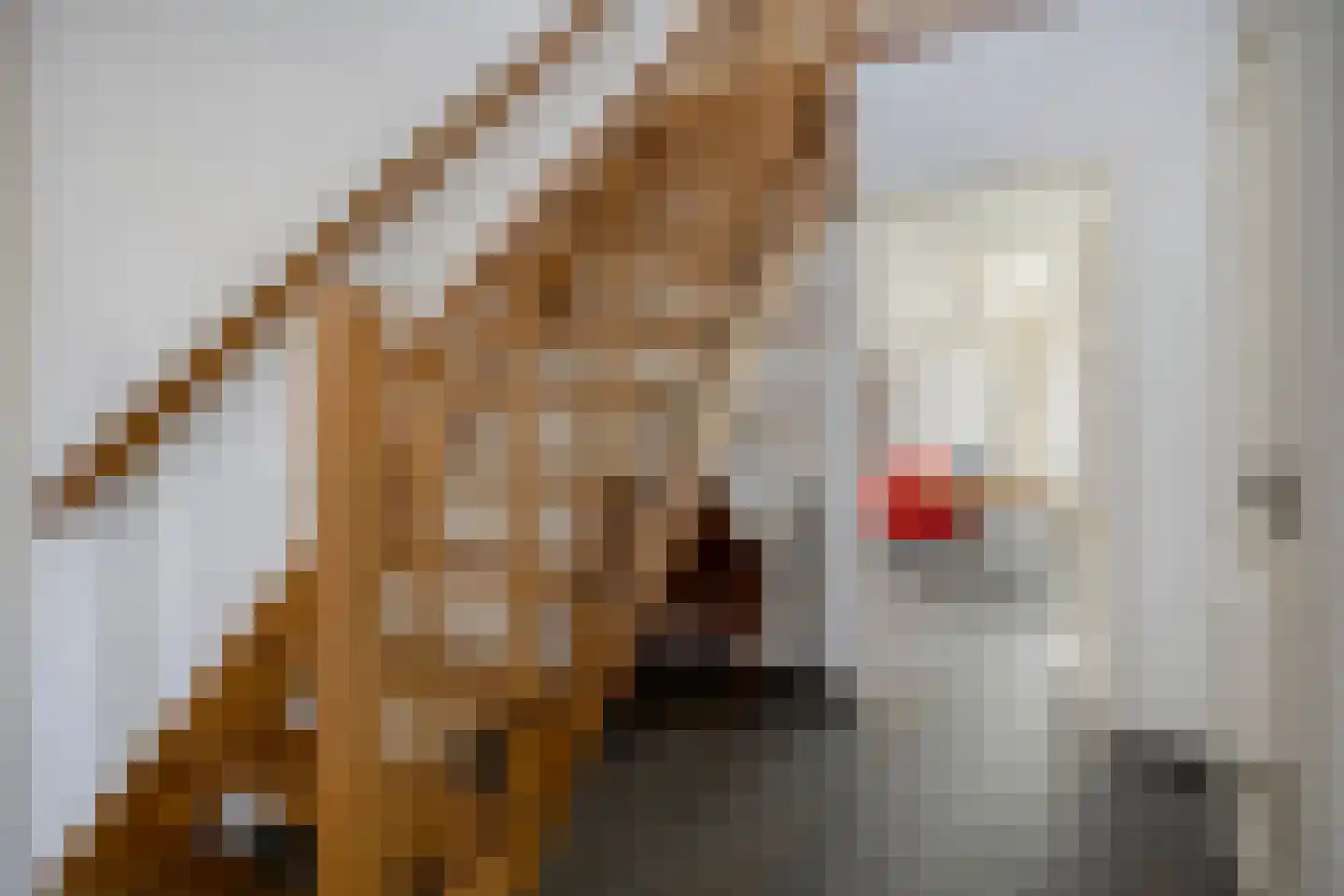 Beekvelden 19 Best thumbnail 10