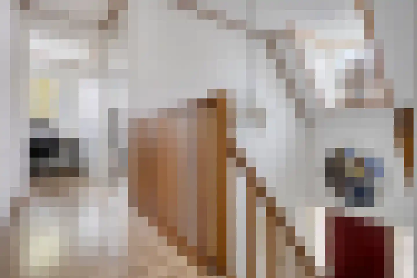 Beekvelden 19 Best thumbnail 23