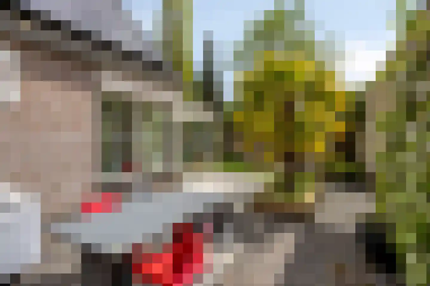 Beekvelden 19 Best thumbnail 35
