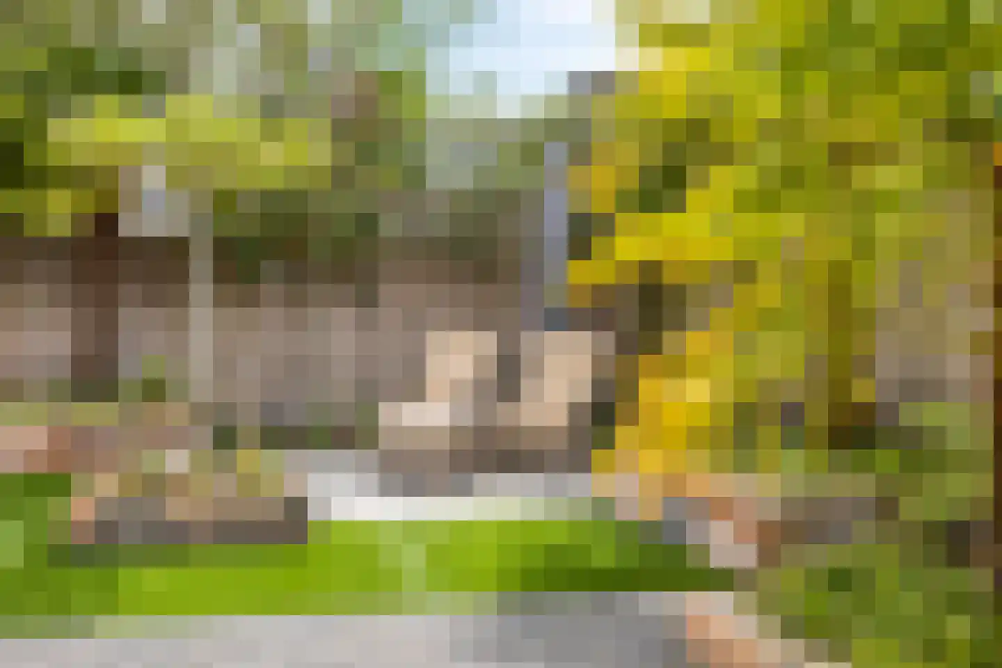 Beekvelden 19 Best thumbnail 36