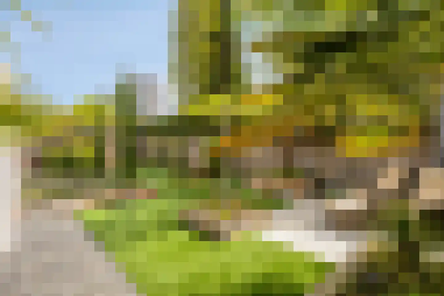 Beekvelden 19 Best thumbnail 37