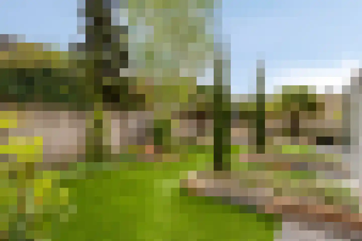 Beekvelden 19 Best thumbnail 38