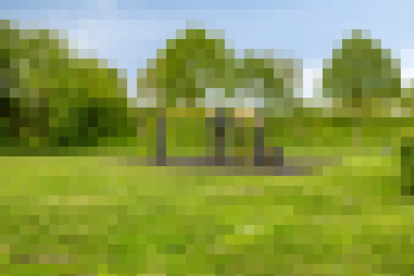 Beekvelden 19 Best thumbnail 41
