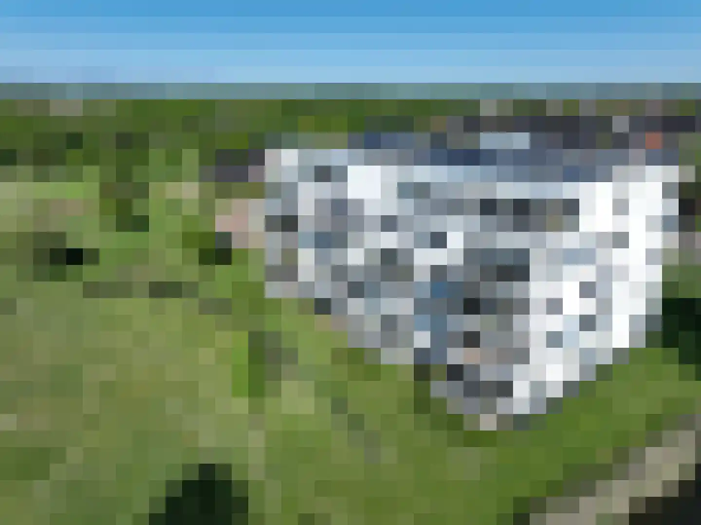 Beekvliet 12 Zeewolde thumbnail 108
