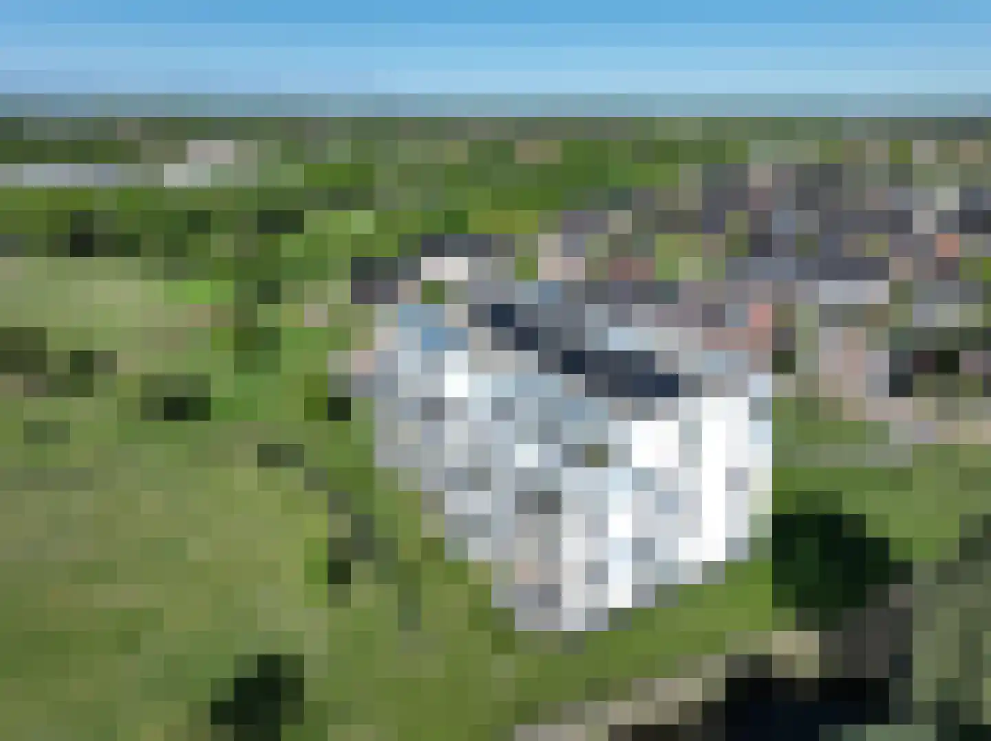 Beekvliet 12 Zeewolde thumbnail 111