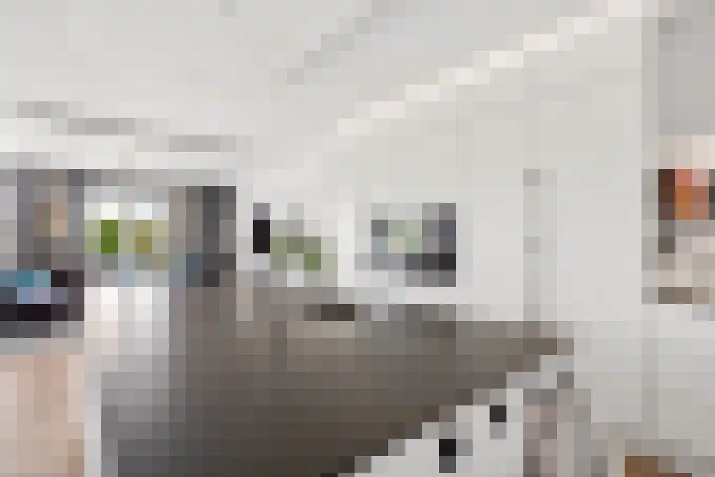 Beekvliet 12 Zeewolde thumbnail 25