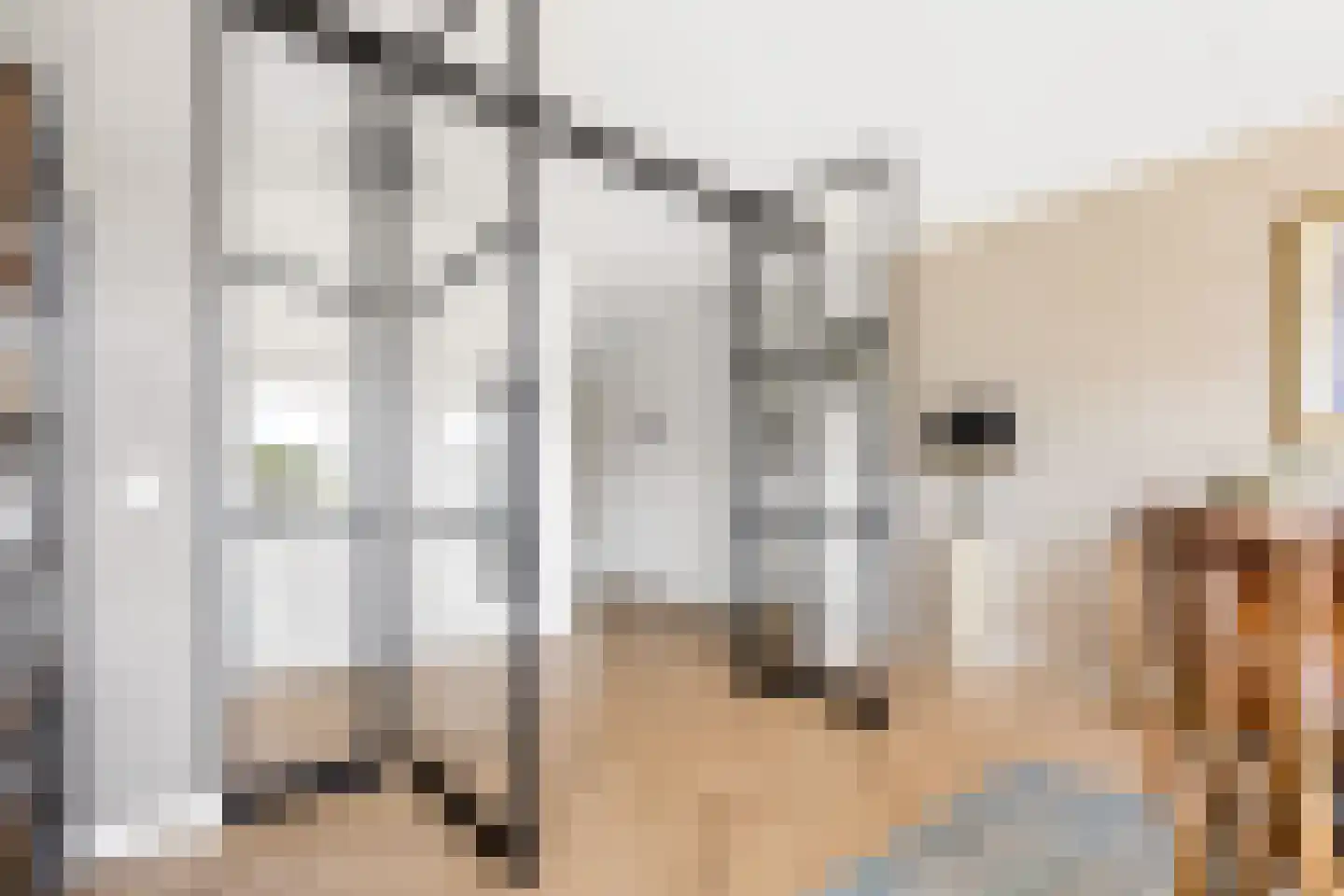 Beekvliet 12 Zeewolde thumbnail 30