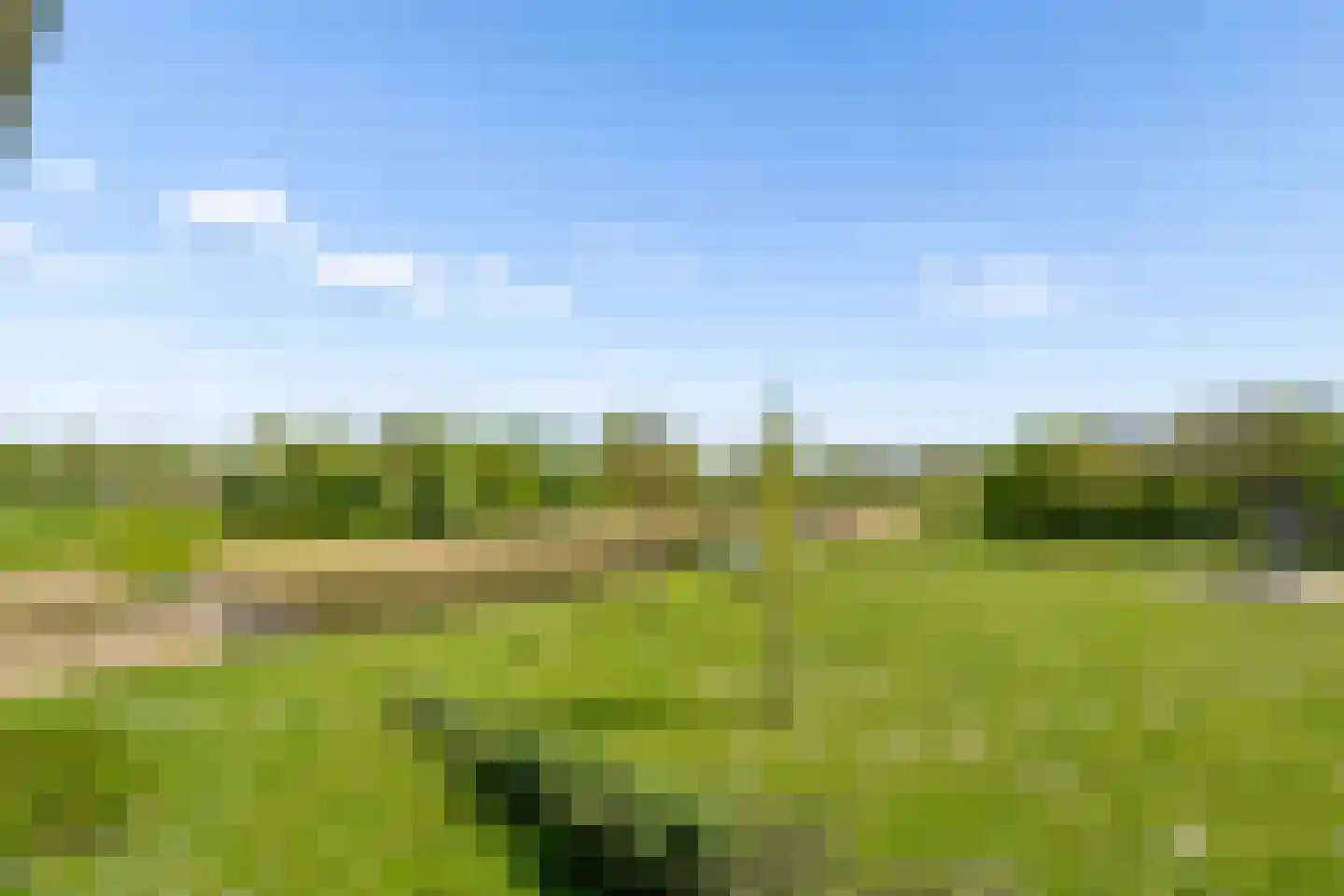 Beekvliet 12 Zeewolde thumbnail 51