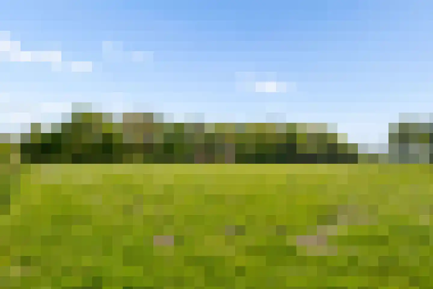 Beekvliet 12 Zeewolde thumbnail 62