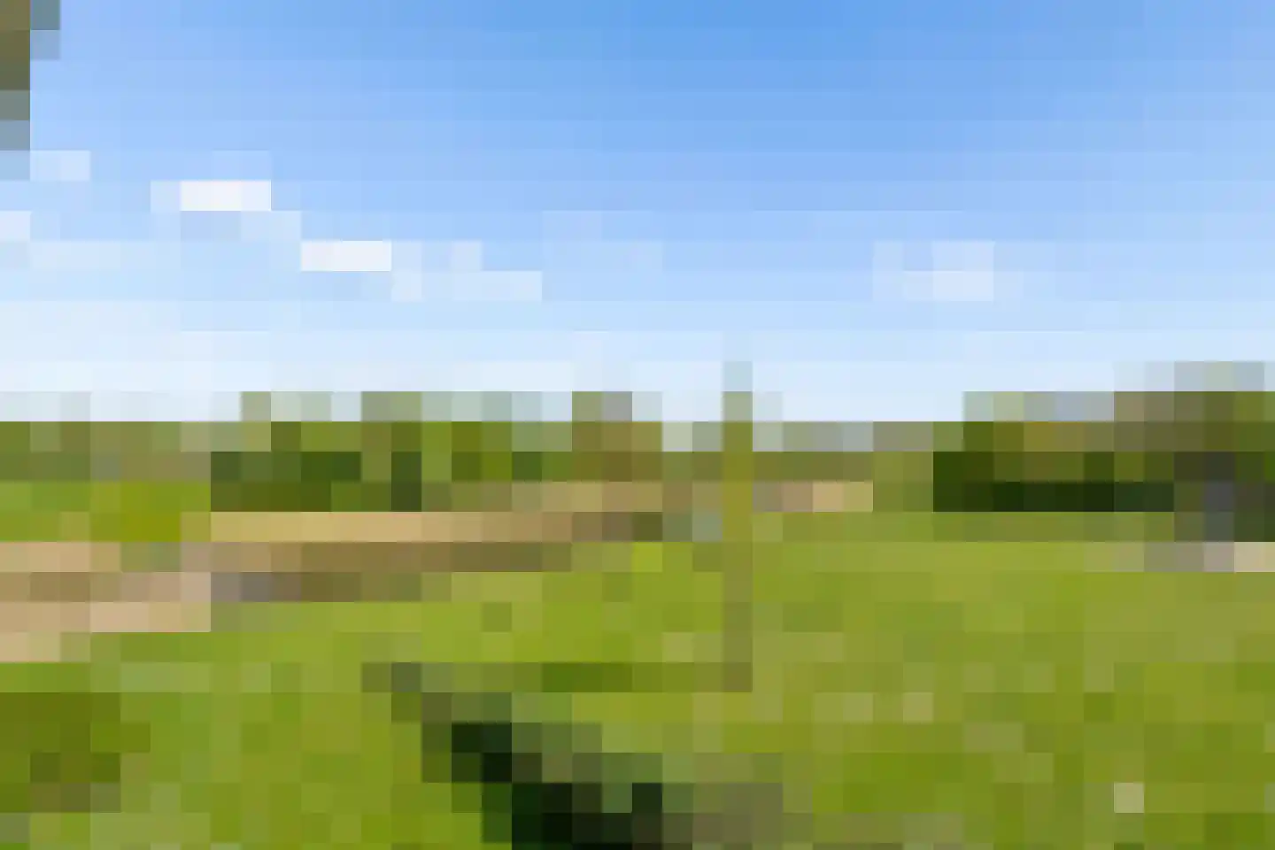 Beekvliet 12 Zeewolde thumbnail 66