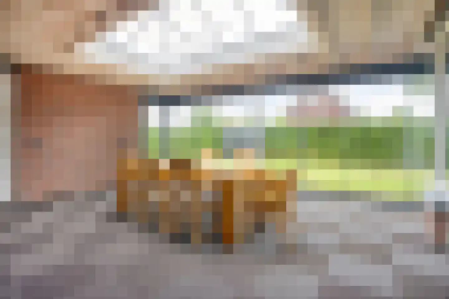 Beekvloed 1 Volkel thumbnail 13