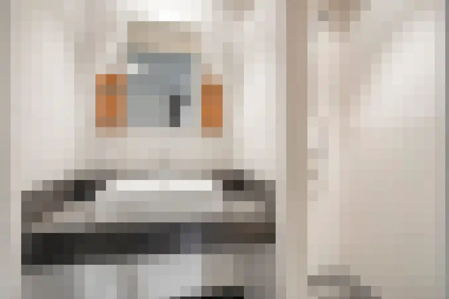 Beekvloed 1 Volkel thumbnail 16