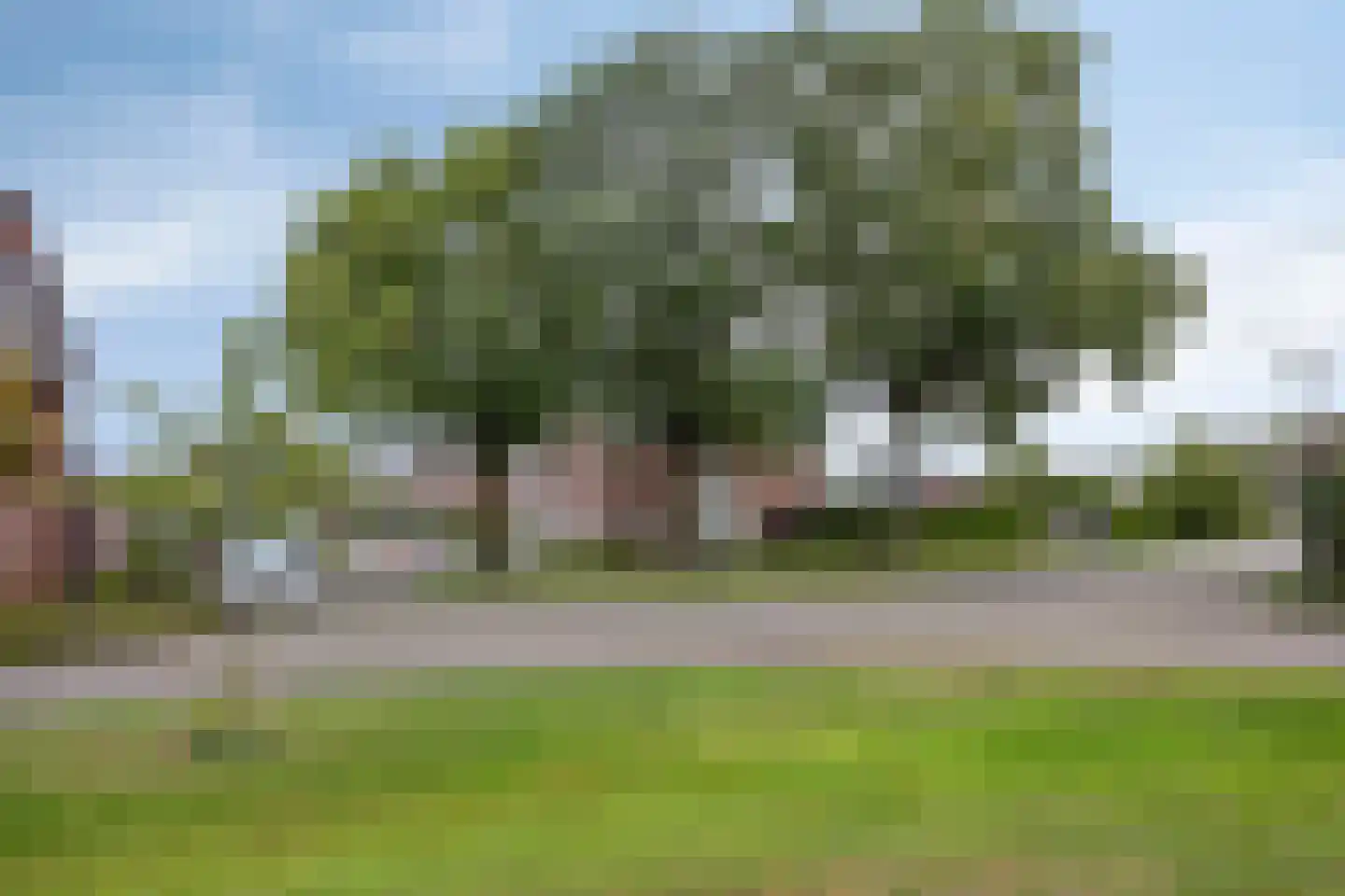 Beekvloed 1 Volkel thumbnail 47