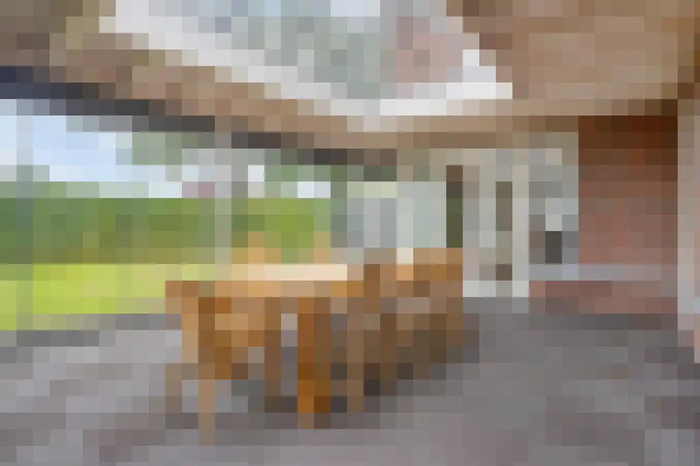 Beekvloed 1 Volkel thumbnail 6