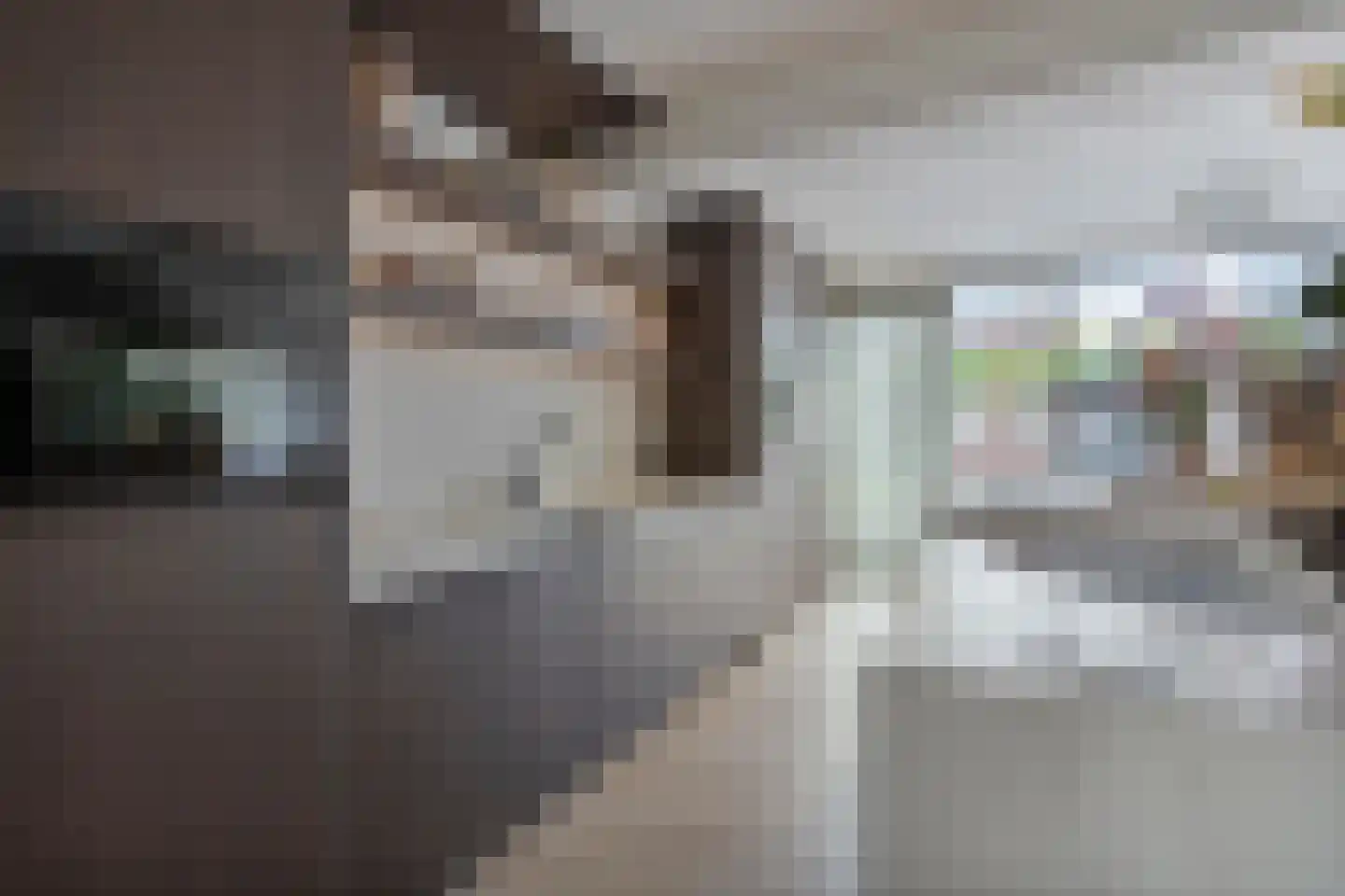 Beekvloed 16 Volkel thumbnail 15