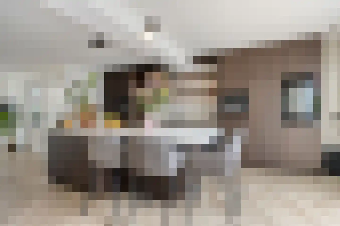 Beekvloed 16 Volkel thumbnail 20