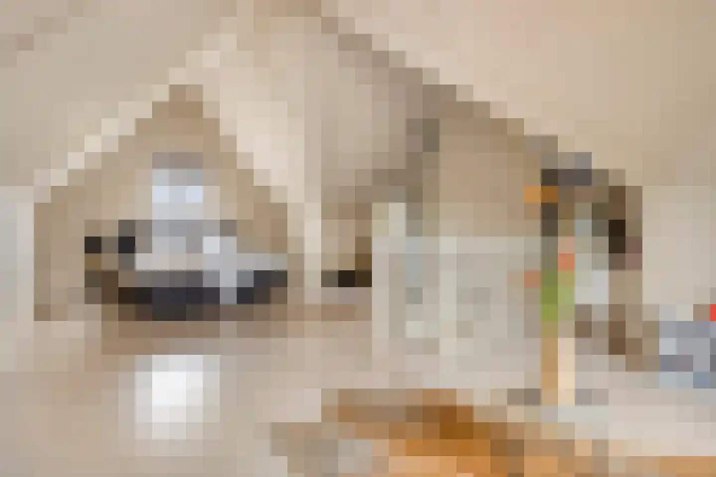 Beekvloed 16 Volkel thumbnail 30