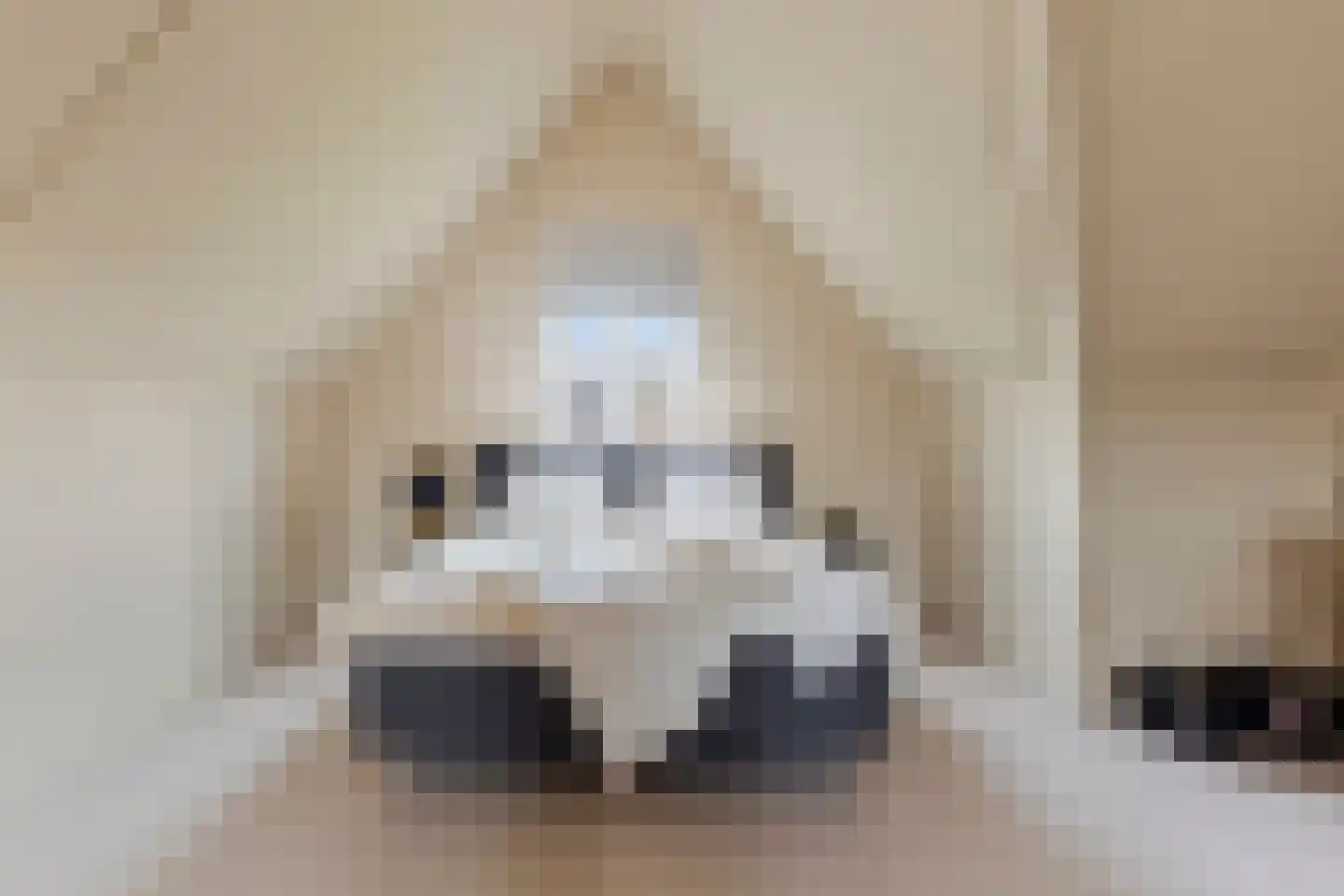 Beekvloed 16 Volkel thumbnail 31