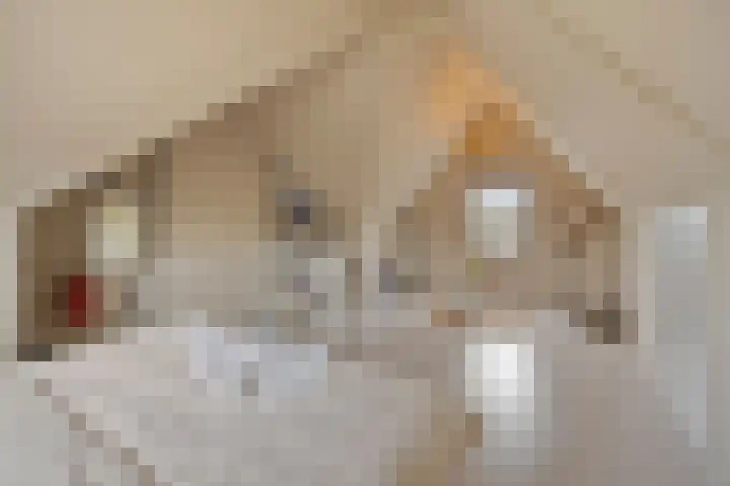 Beekvloed 16 Volkel thumbnail 32