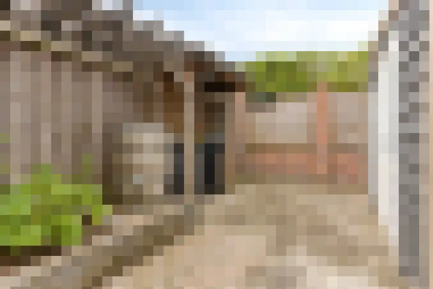 Beekvloed 16 Volkel thumbnail 35