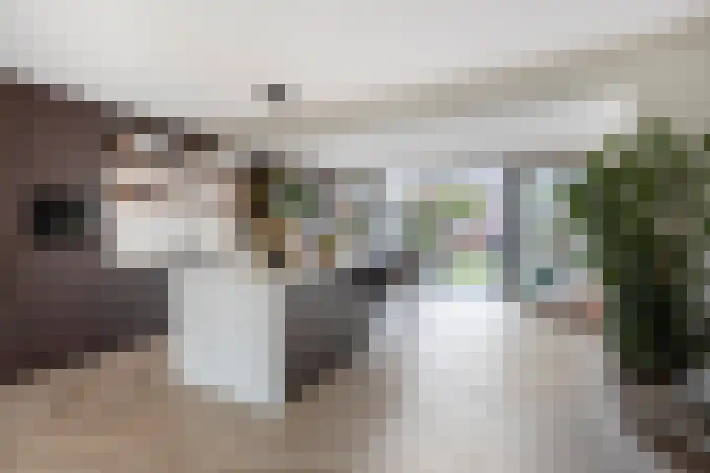 Beekvloed 16 Volkel thumbnail 4