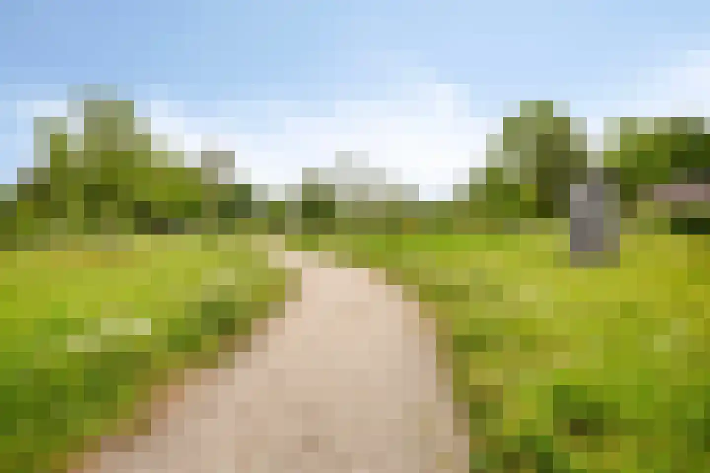 Beekvloed 16 Volkel thumbnail 40