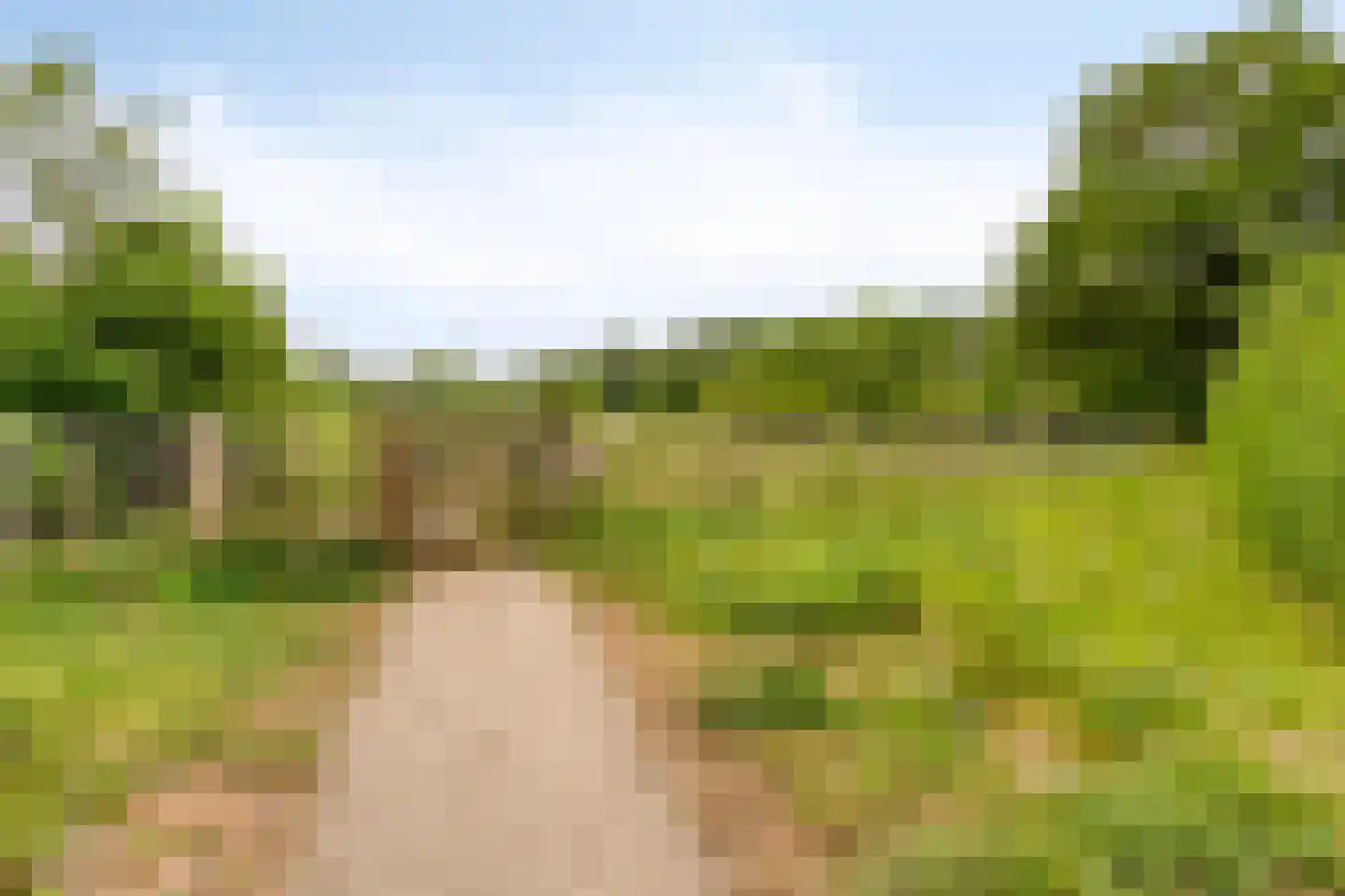 Beekvloed 16 Volkel thumbnail 41