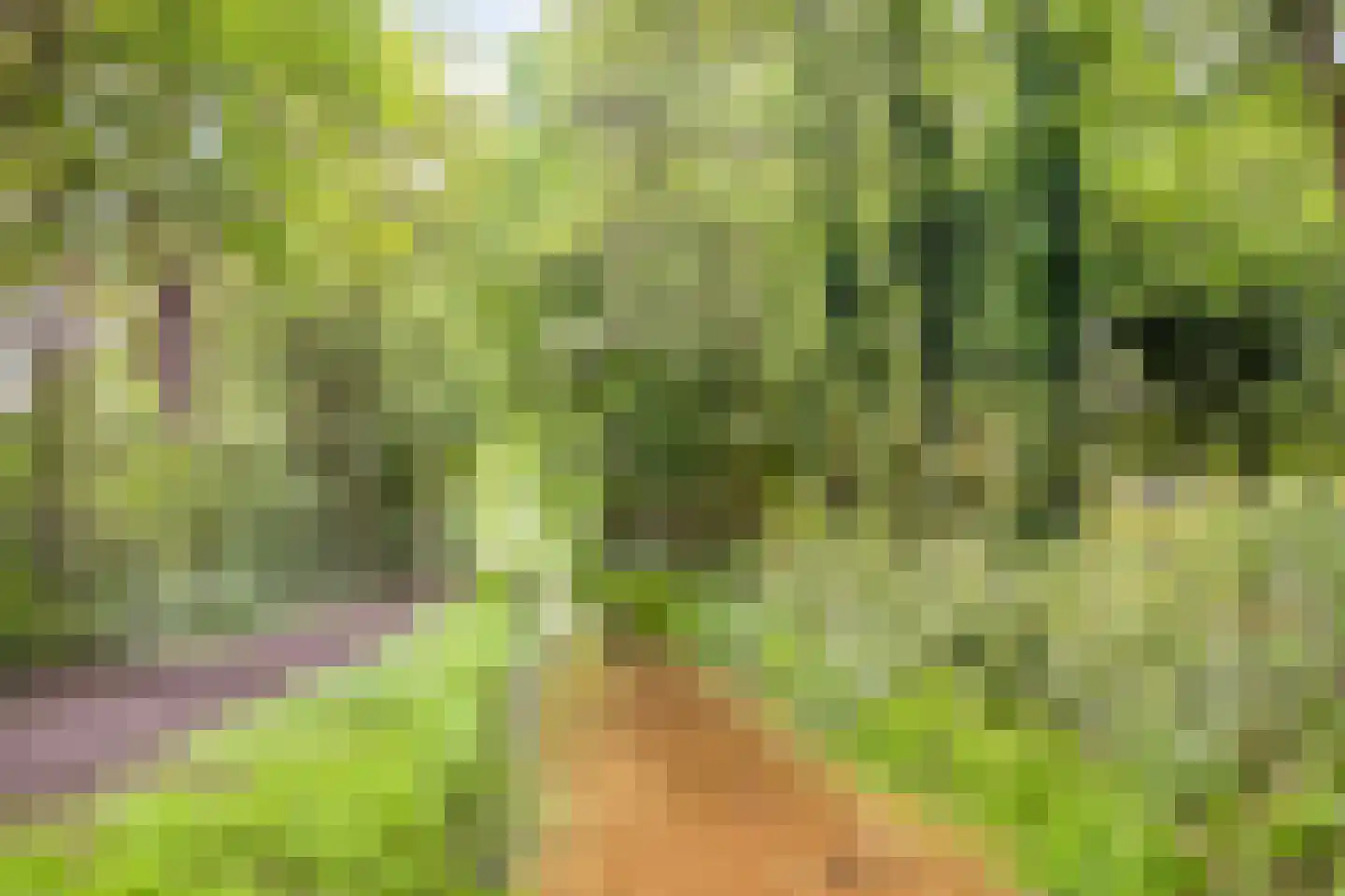 Beekvloed 16 Volkel thumbnail 42