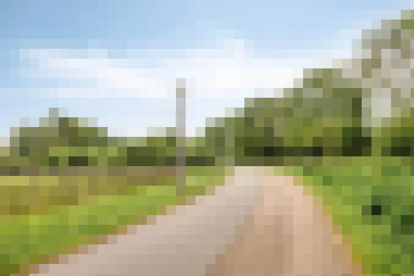 Beekvloed 16 Volkel thumbnail 43