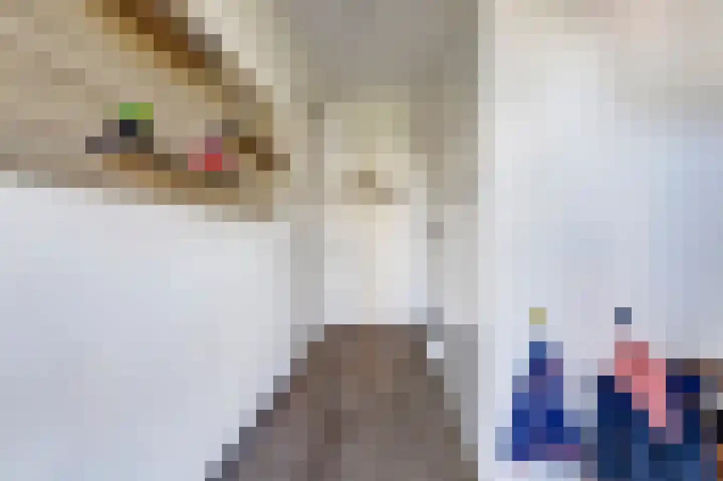 Beekvloed 2 Volkel thumbnail 11