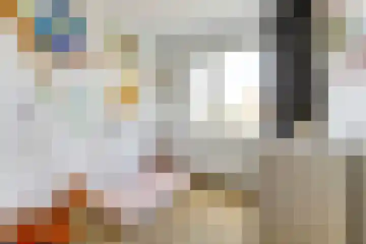 Beekvloed 2 Volkel thumbnail 18