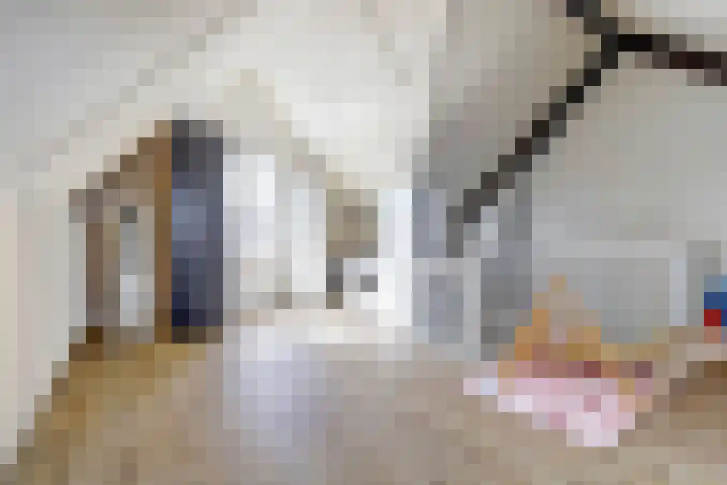 Beekvloed 2 Volkel thumbnail 24