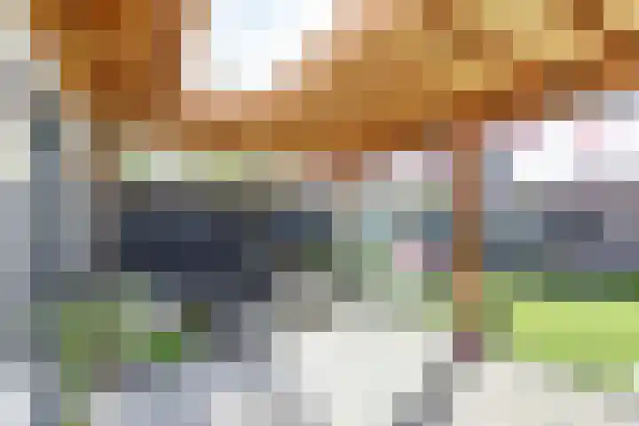 Beekvloed 2 Volkel thumbnail 25