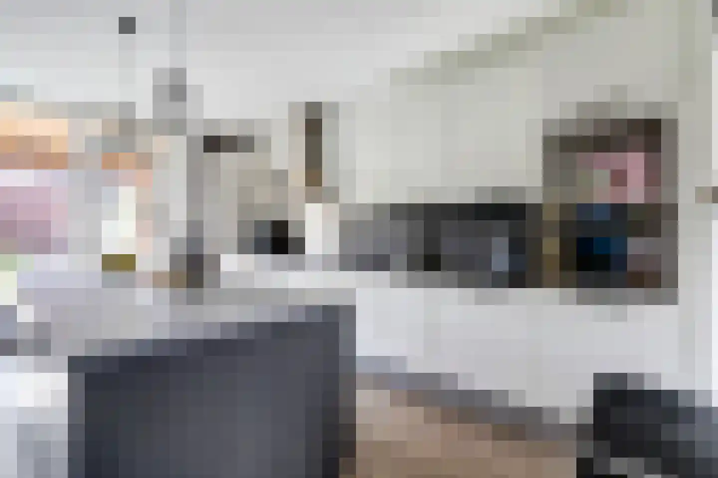 Beekvloed 2 Volkel thumbnail 8