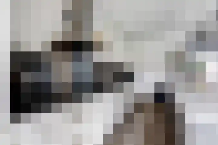 Beekvloed 2 Volkel thumbnail 9