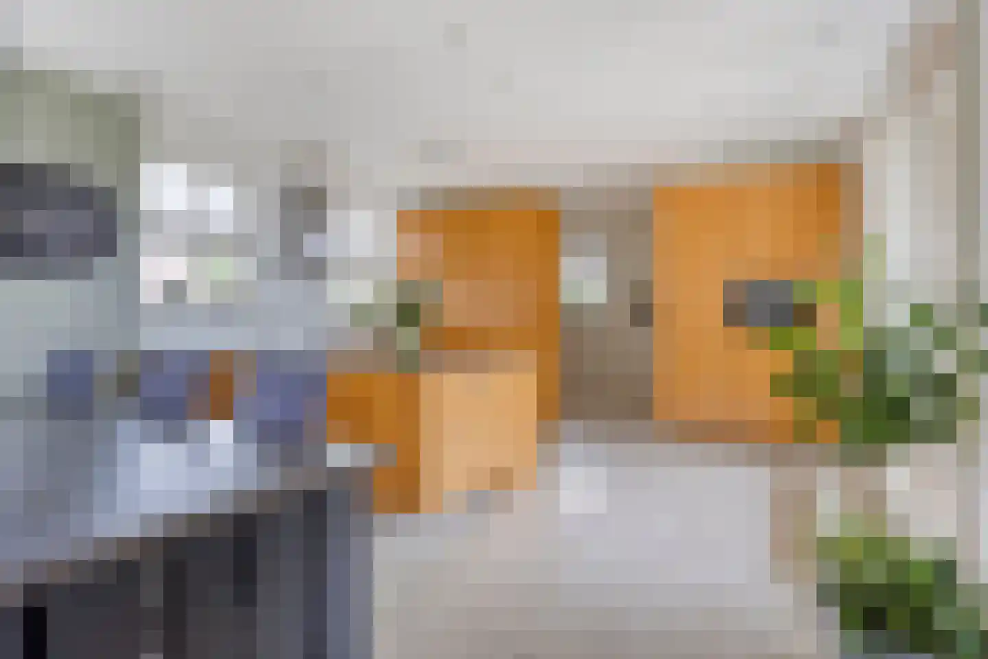 Beekvloed 20 Volkel thumbnail 10