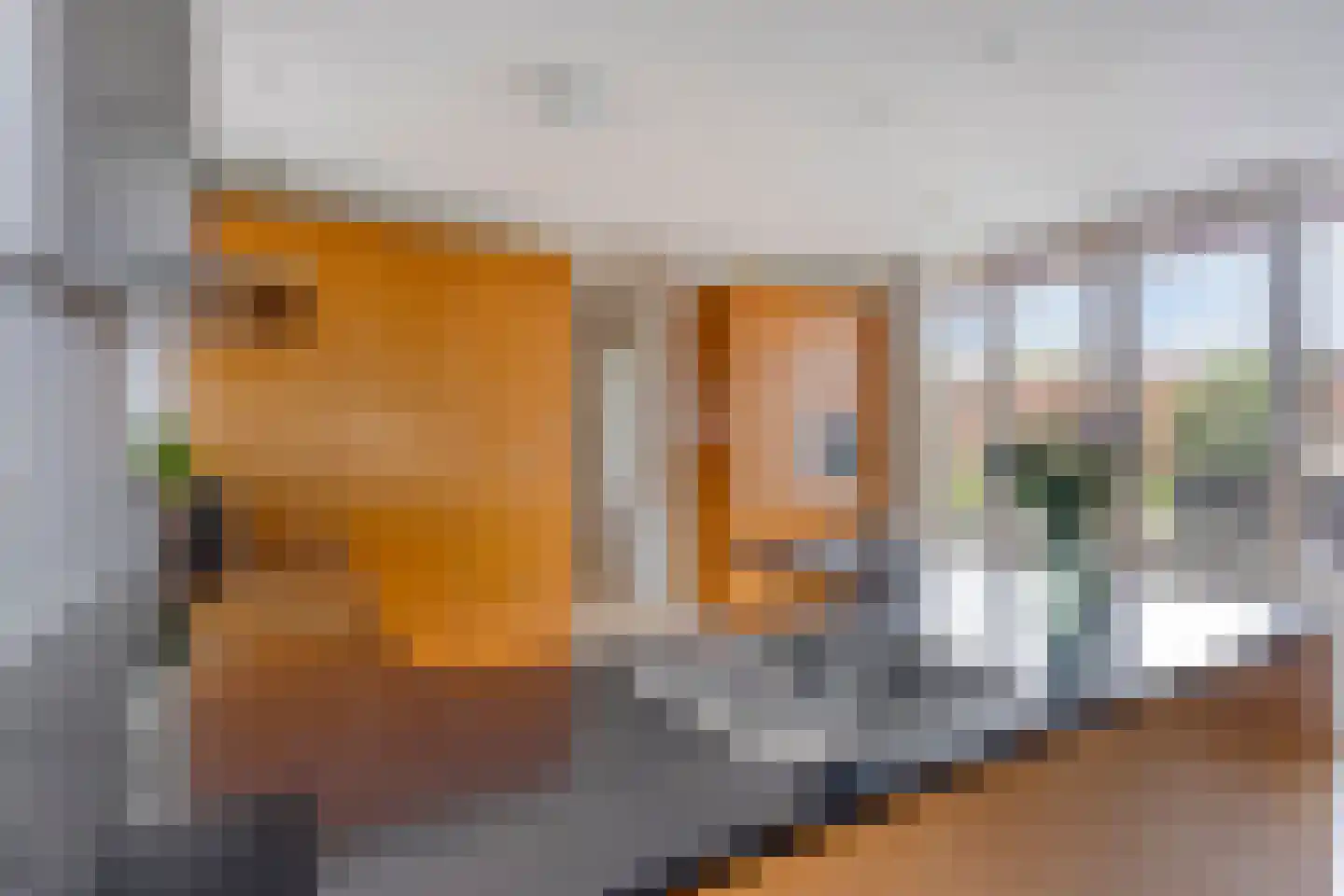 Beekvloed 20 Volkel thumbnail 12
