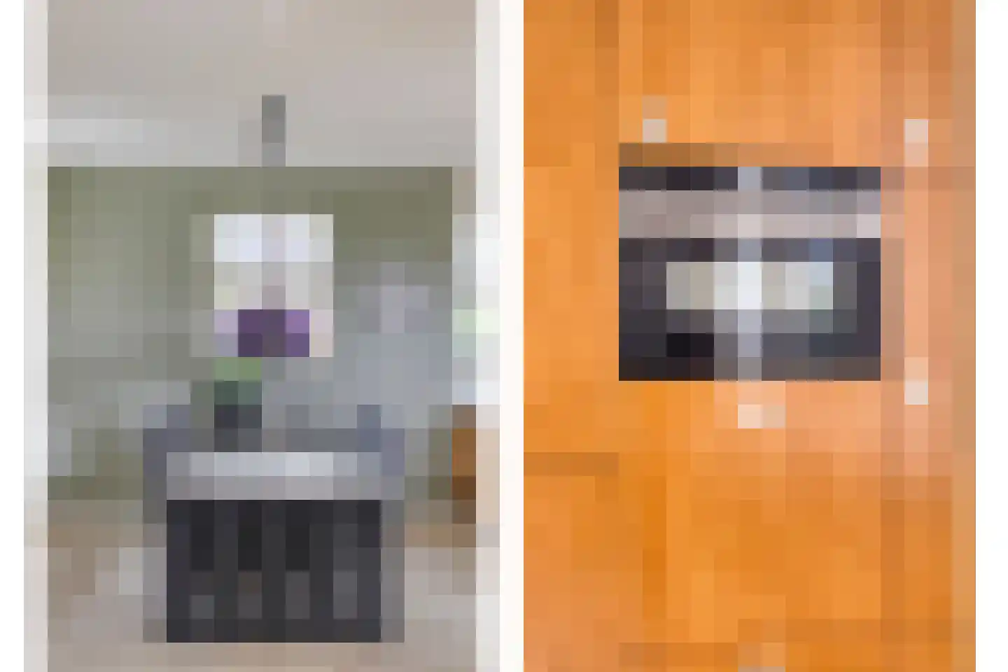 Beekvloed 20 Volkel thumbnail 13
